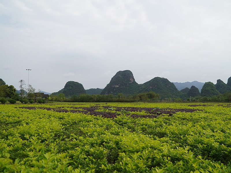 英西峰林